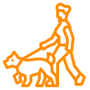 Need a Dog Walker while at Work?